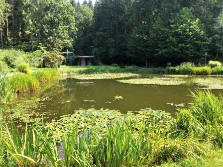 Der Dechantteich gegenüber der Therme NOVA als Biotop und Naherholungsgebiet für Anwohner und Gäste